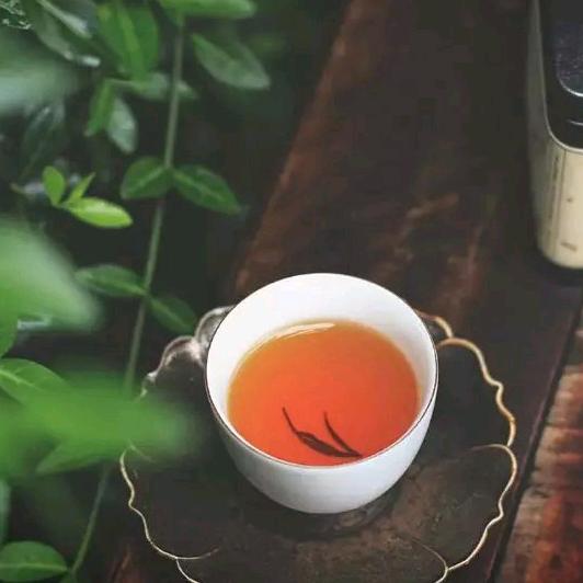 老马书法与茶生活