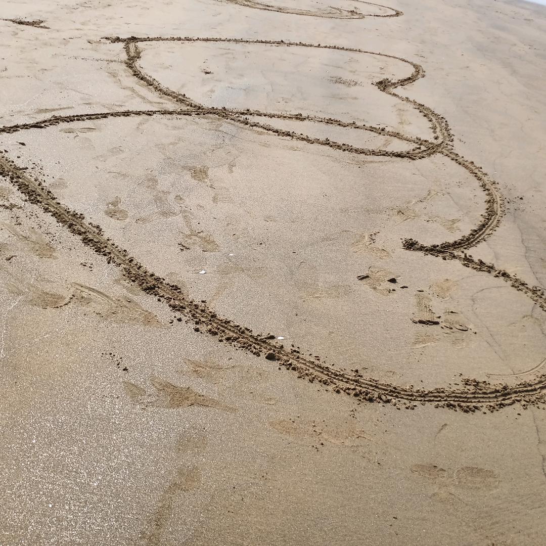 曾伟