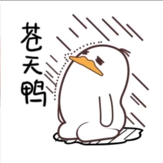 (づ ●─● )づ韭菜