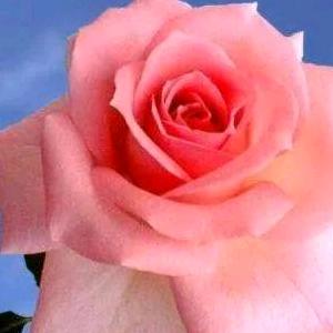 ꧔ꦿ᭄奔跑在路上💞᭄࿐