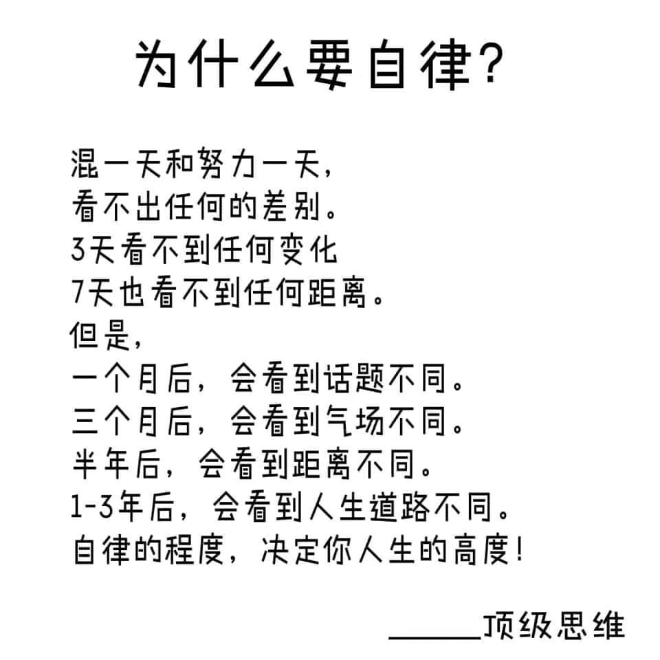 随风奔跑