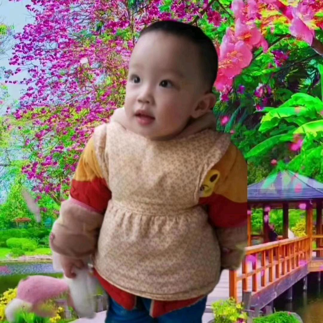 达州柏在珍