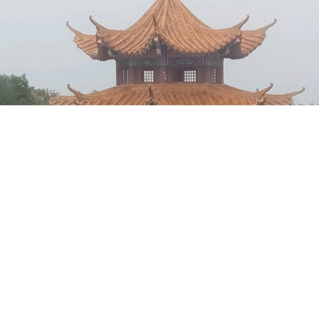 豫章罗氏小罗