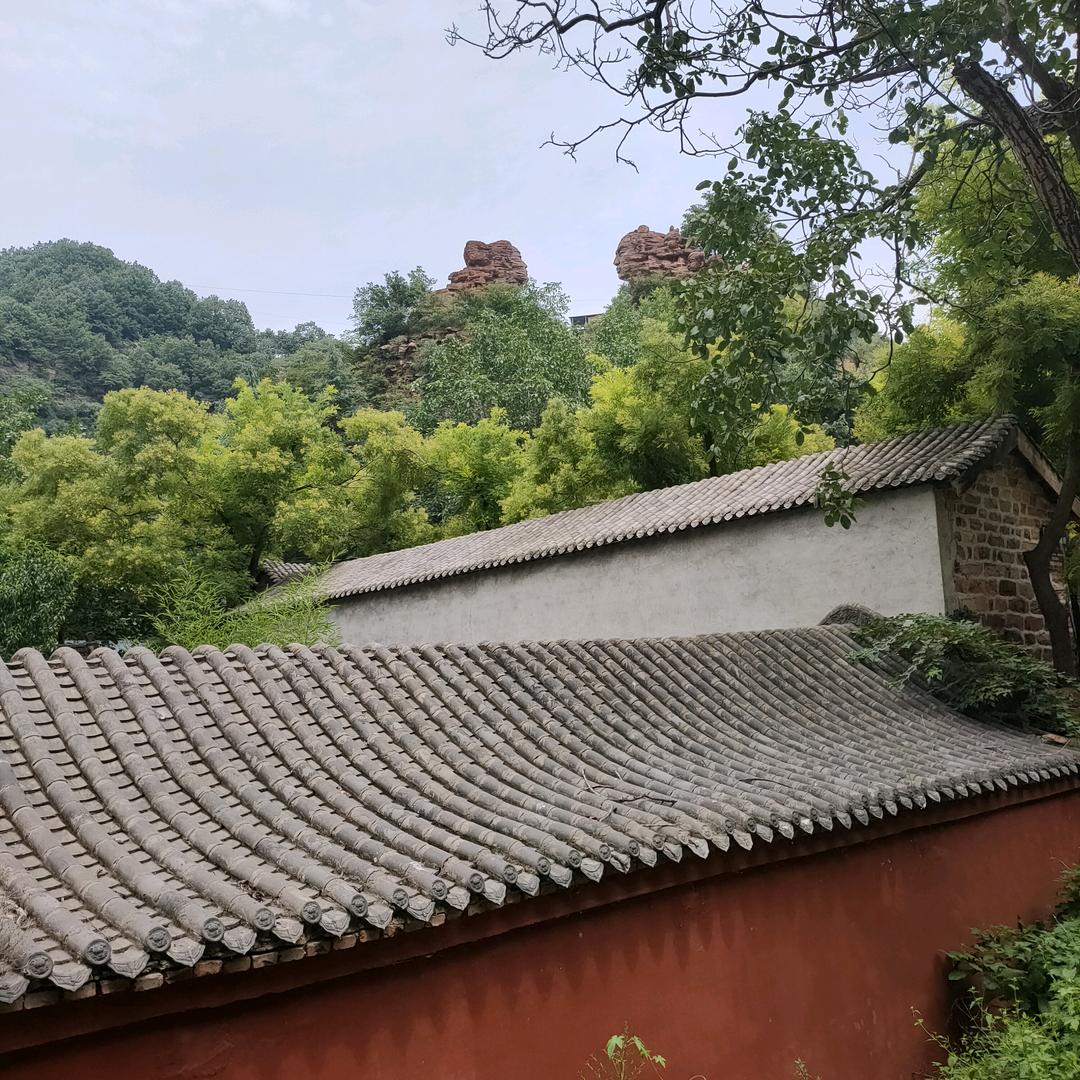 清粥一碗（赵亮）