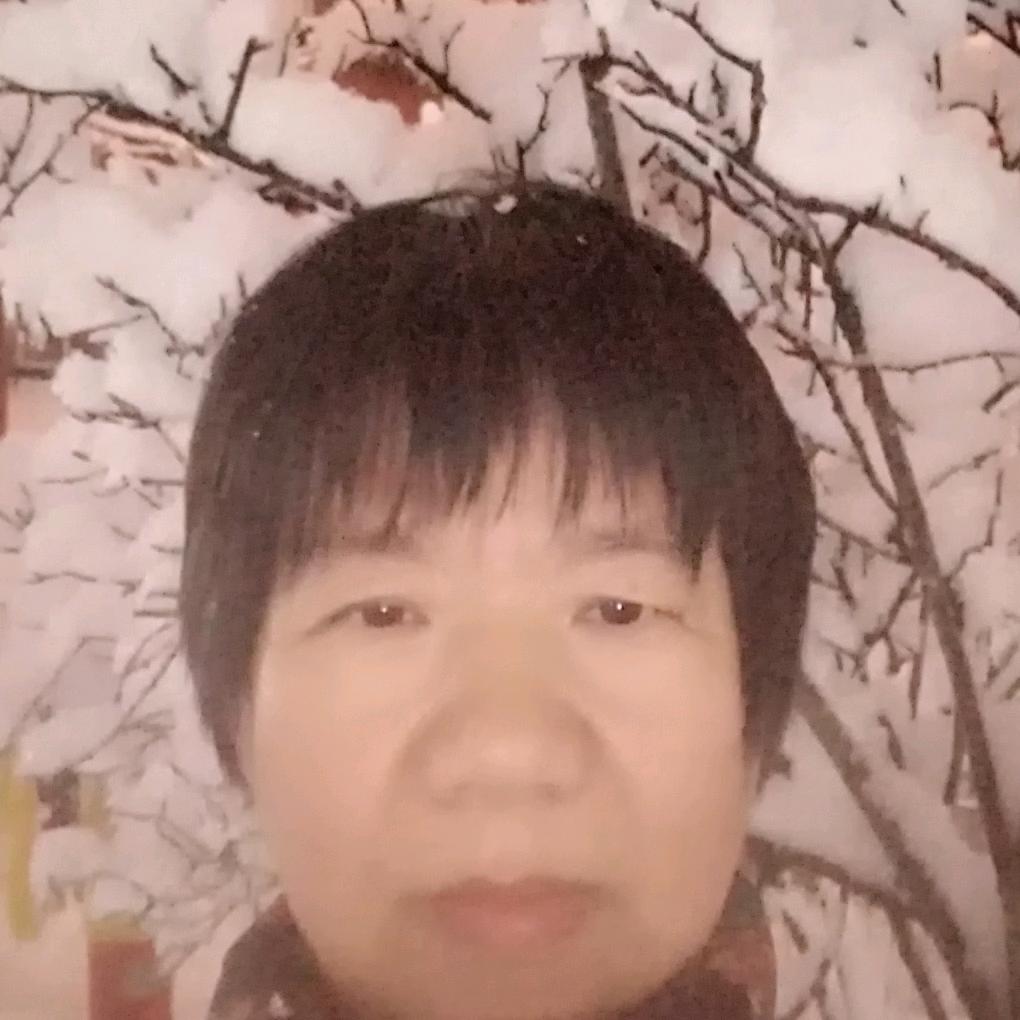 雪绒花