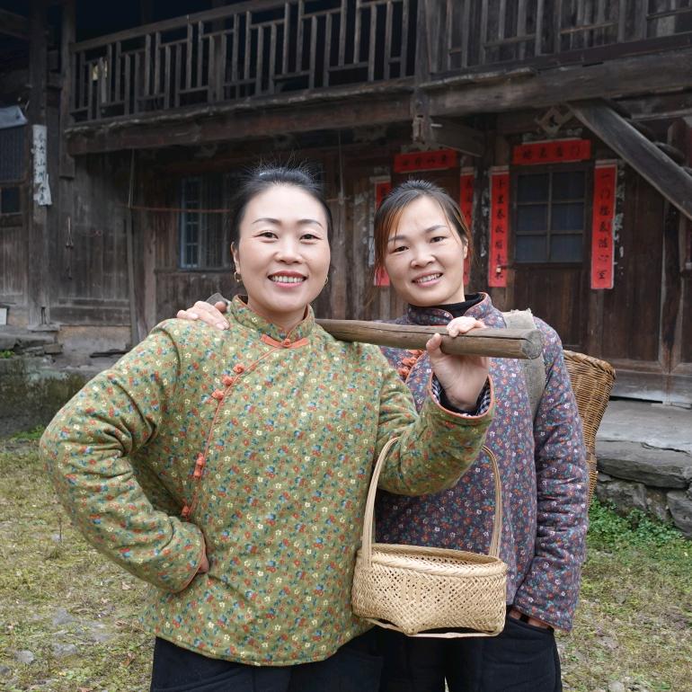 好恰婆在柳林