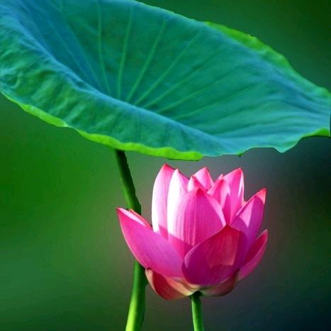 ~自渡~自救~自修~