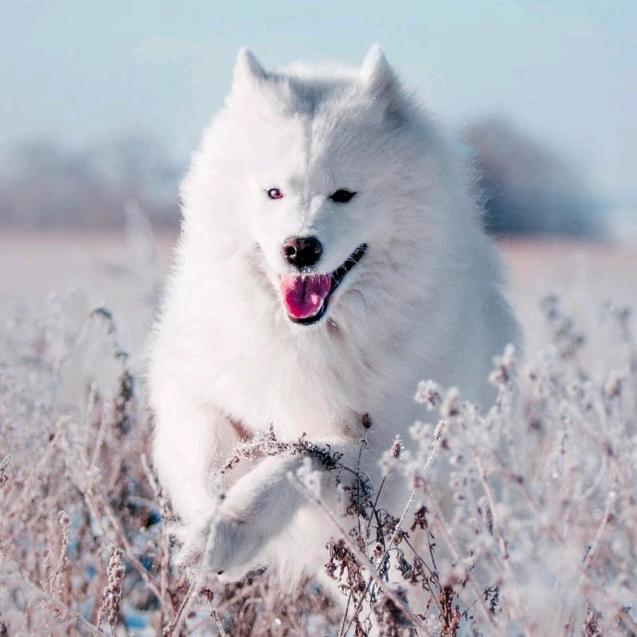 用户6021174991啊生