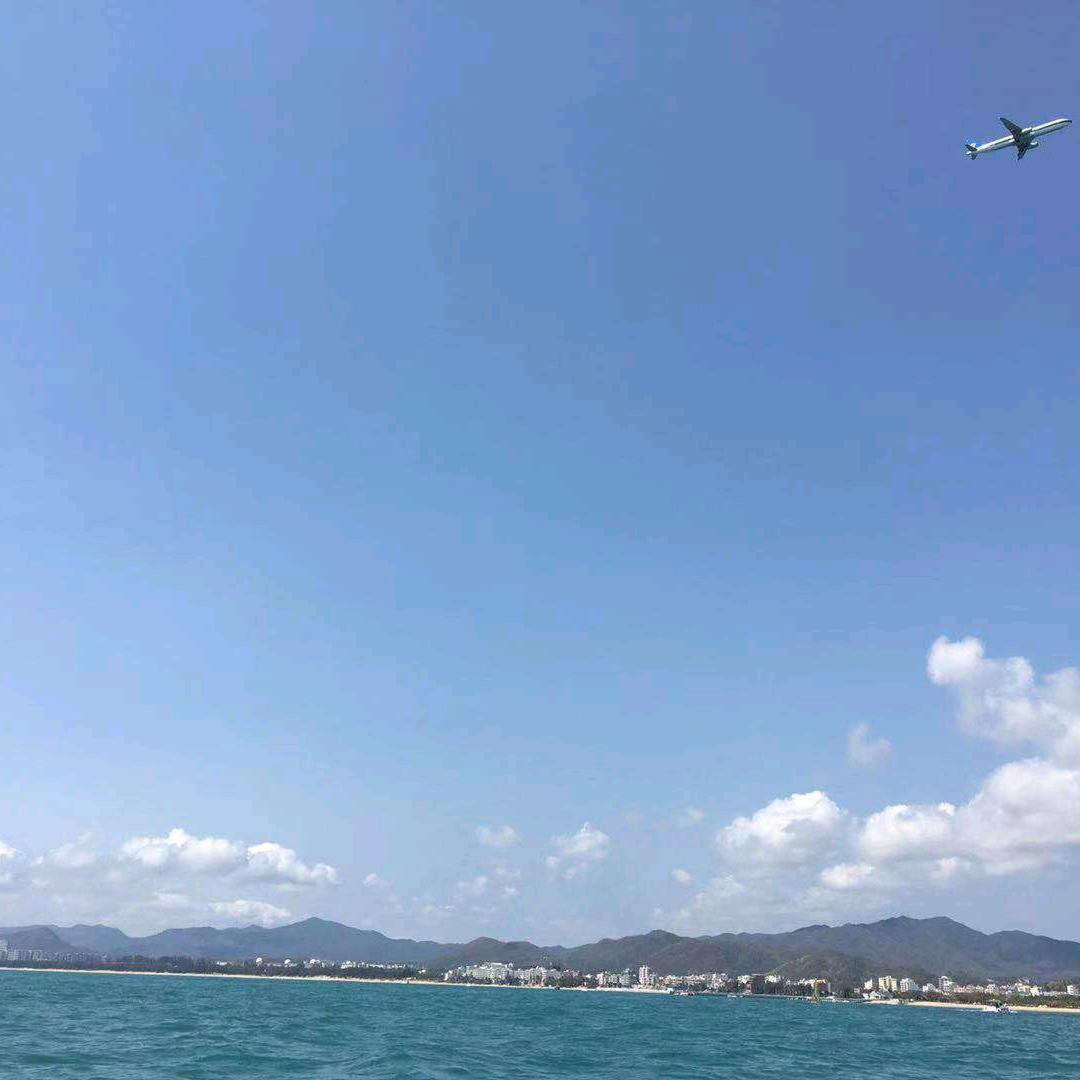 老羊
