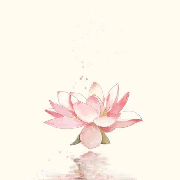 揚；- 尐 乖