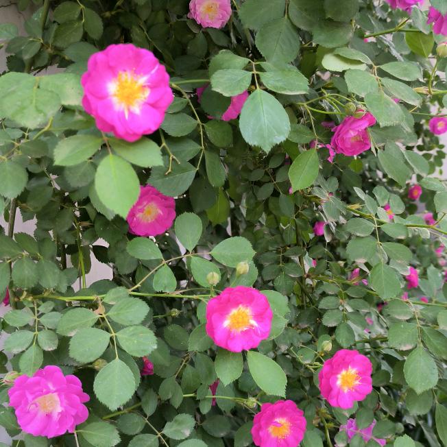 水能载舟，亦能覆舟！