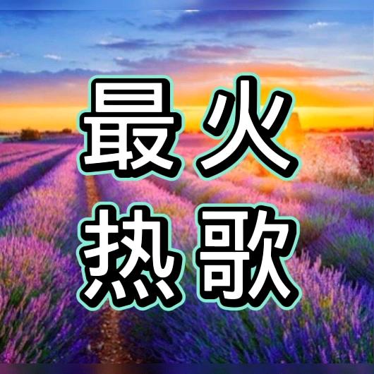 最火热歌@抖音