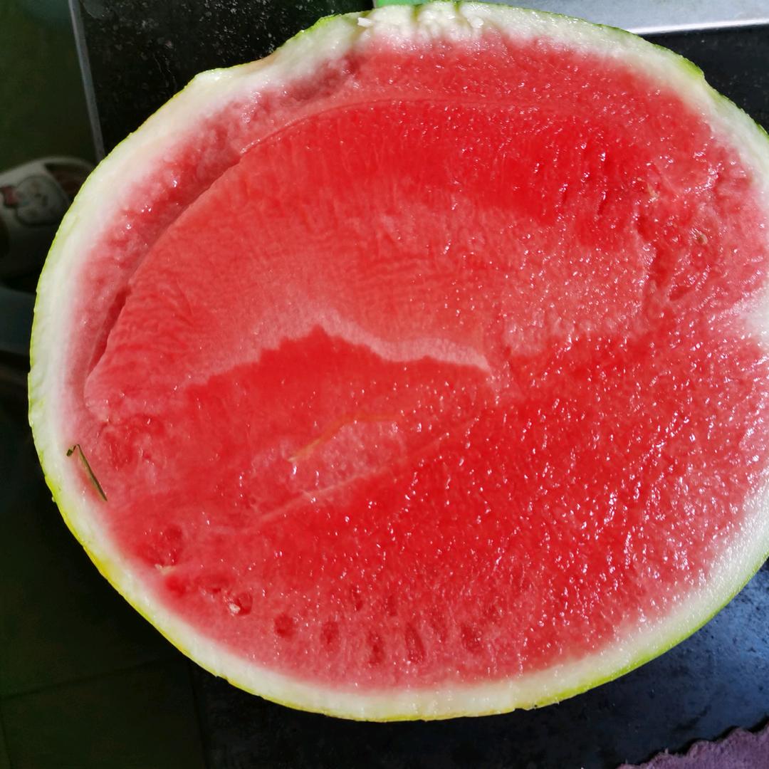 陈皮话梅😼（已见十勤版）