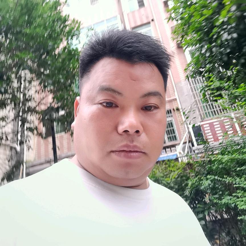 ZXJ胖大海