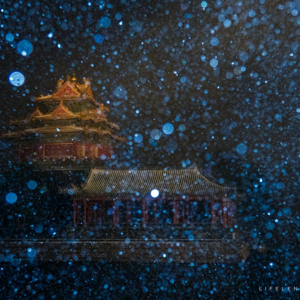 君十一