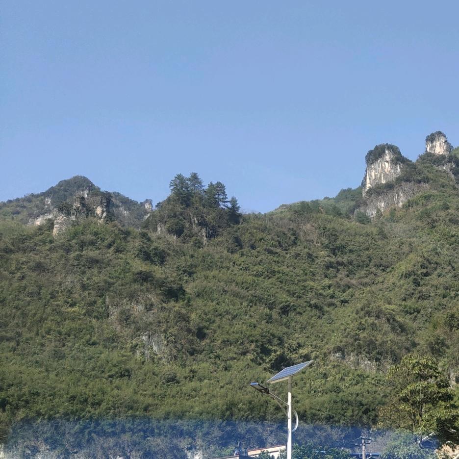 归集