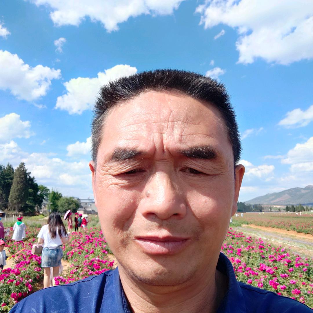 邹中木