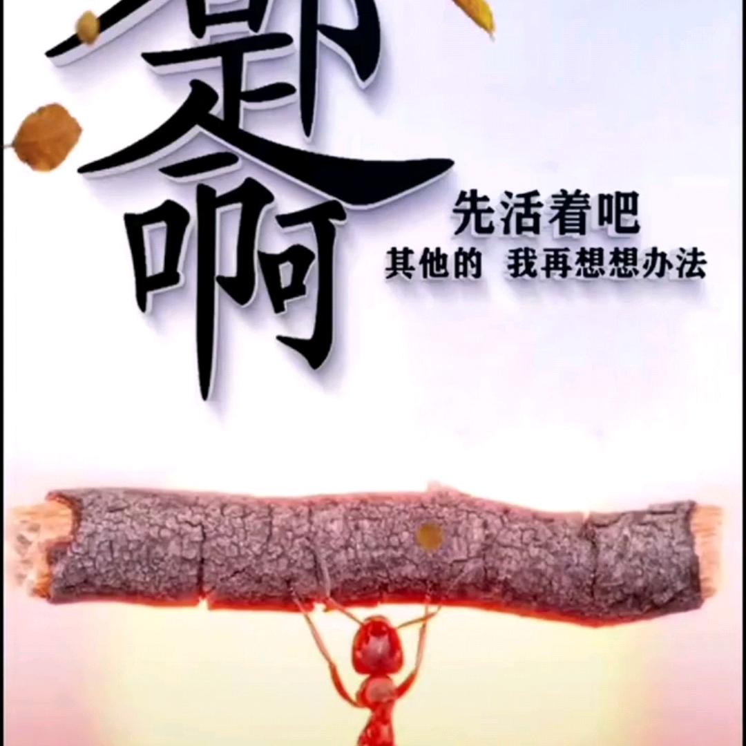 有烟无火