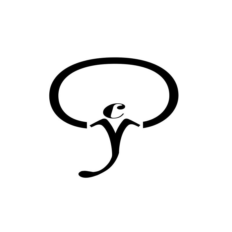 CCYFIT