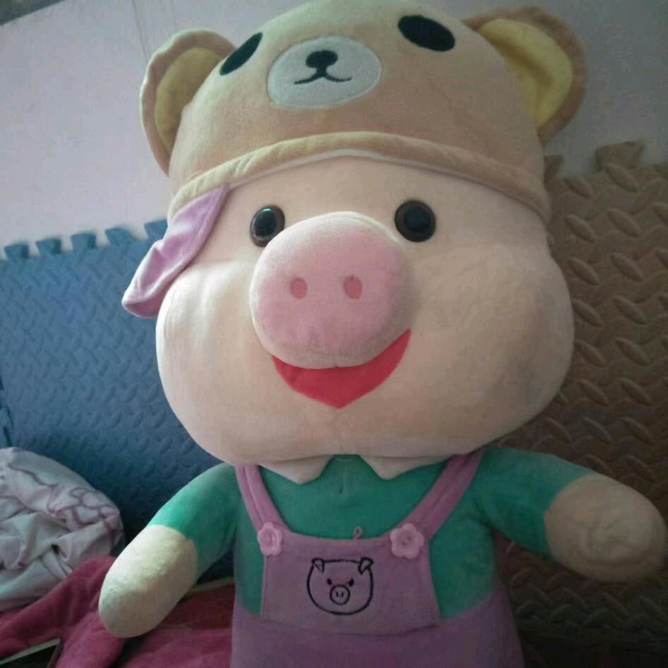 一只小🐷