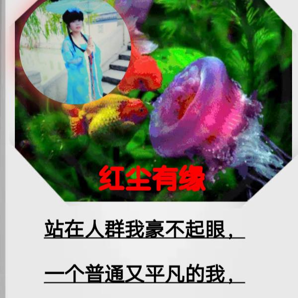 红尘有缘
