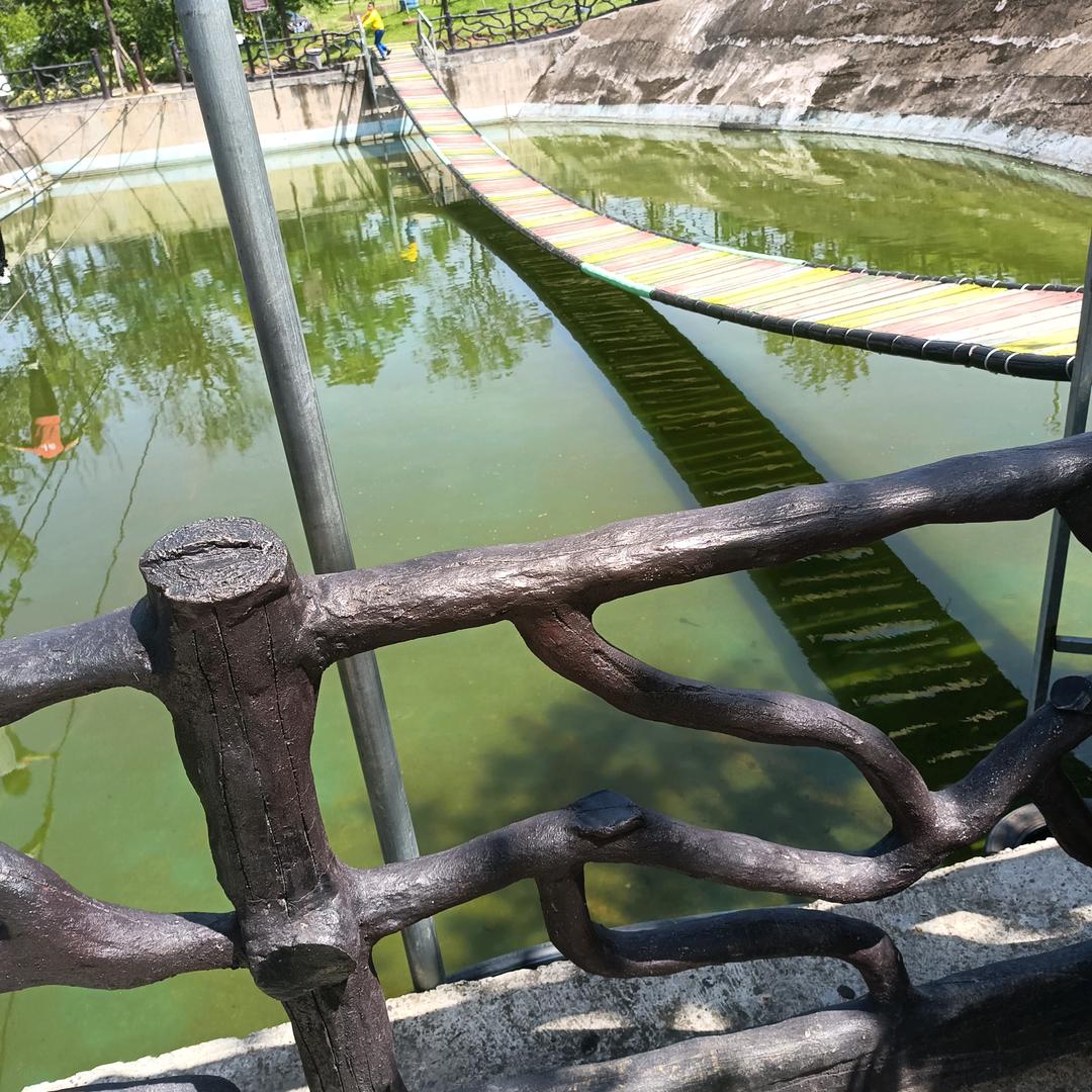 (╭☞•́⍛•̀)╭☞阳光男孩