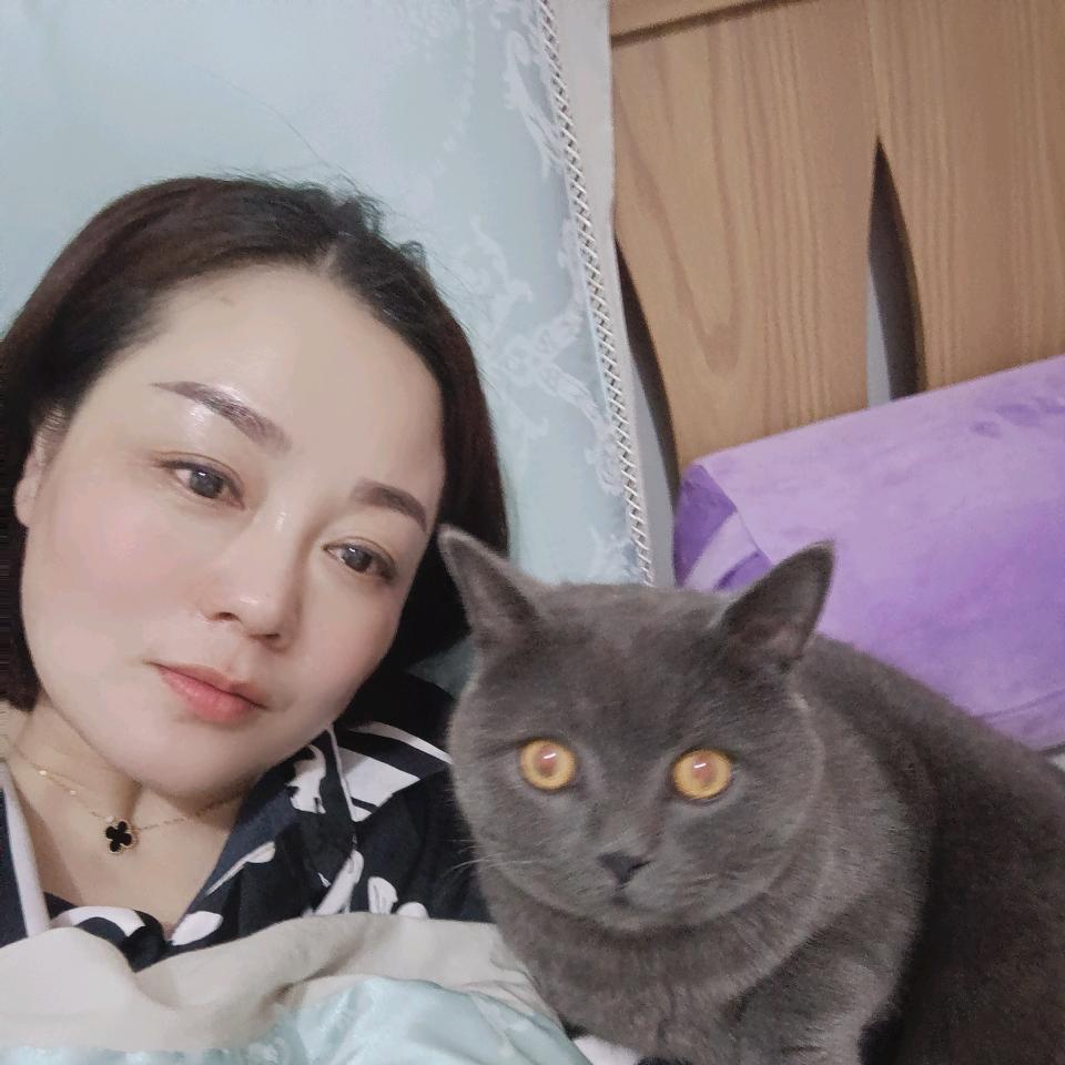 阡陌红尘413
