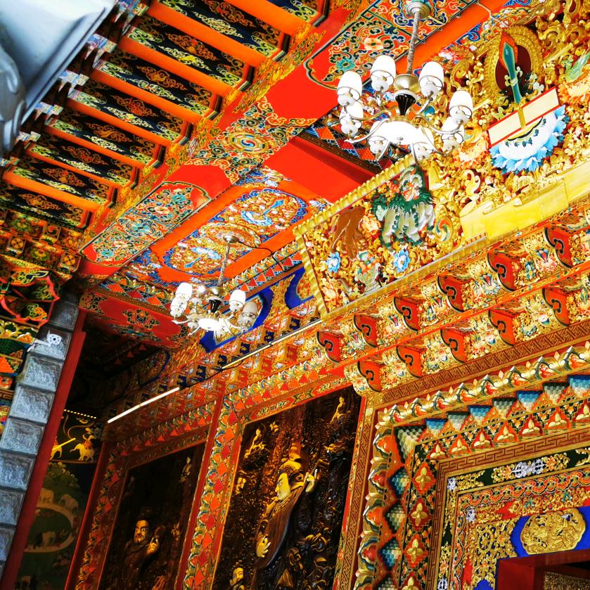 因你❤️🌈闪耀~