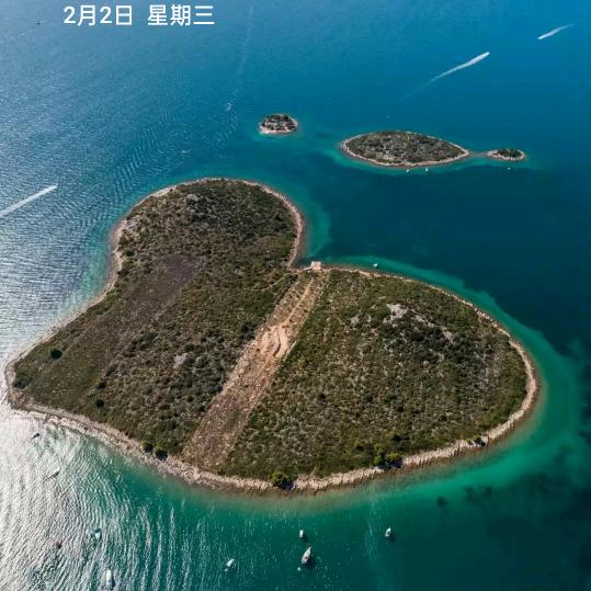 理由分