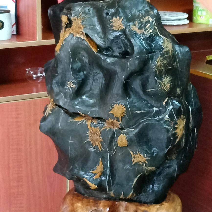 高山观众
