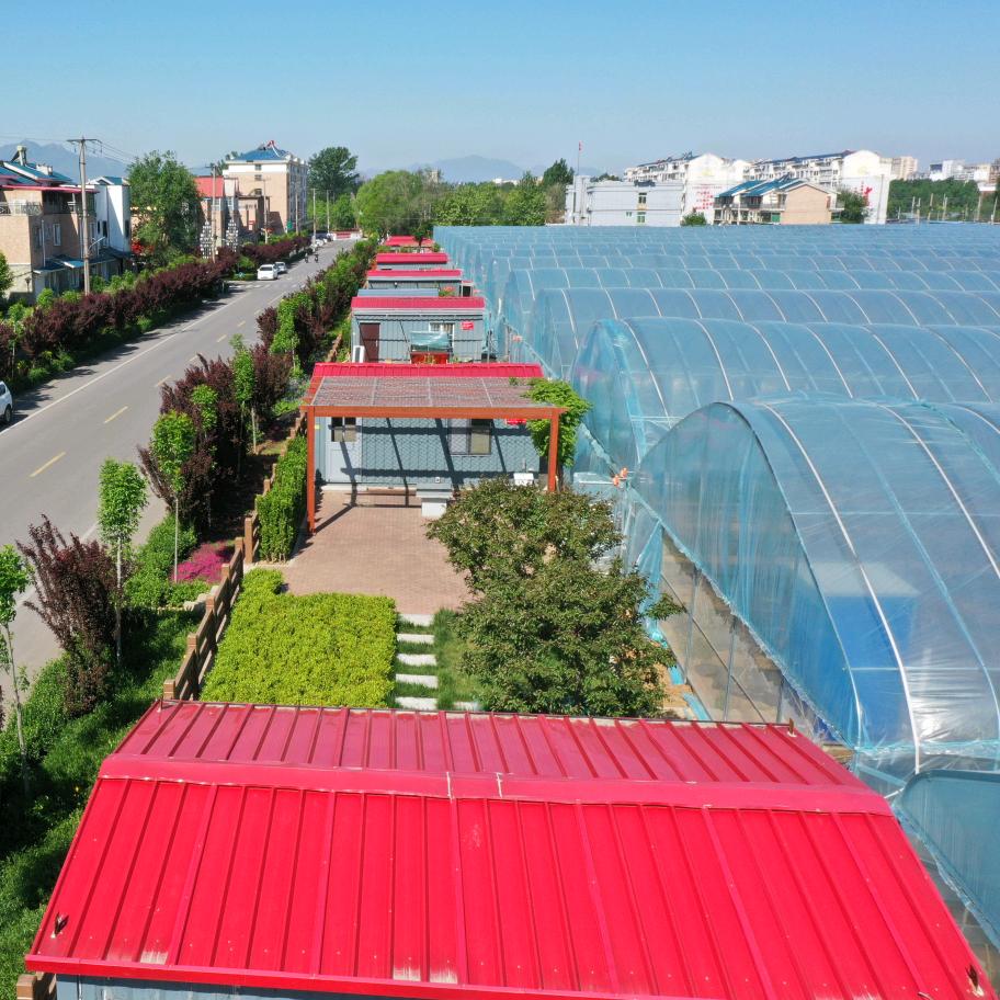 淄博陈路种植专业合作社