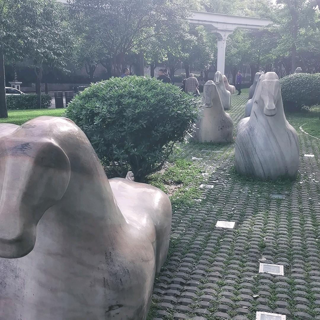 二不大点的小鲜肉