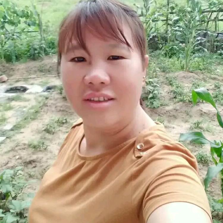 🍒🍒，漂泊的思念