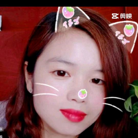 轻舞飞扬