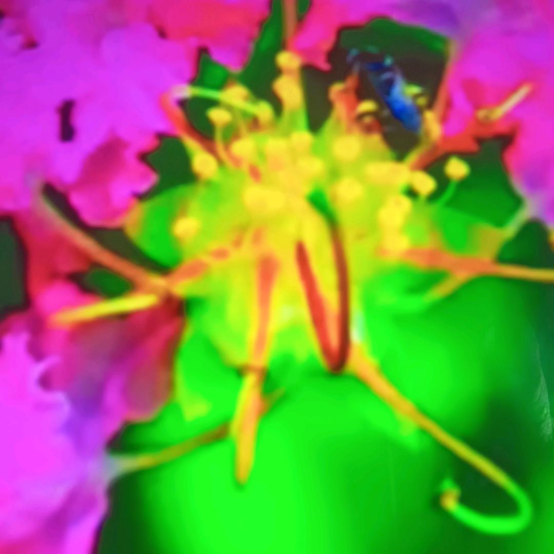 如花