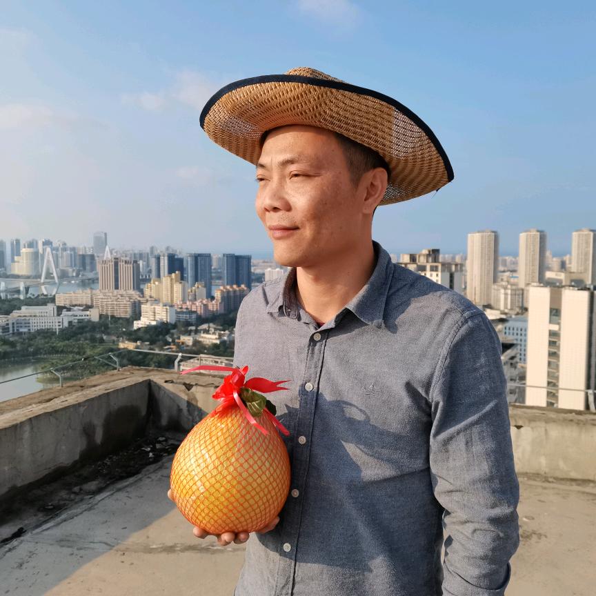 海南陈队长