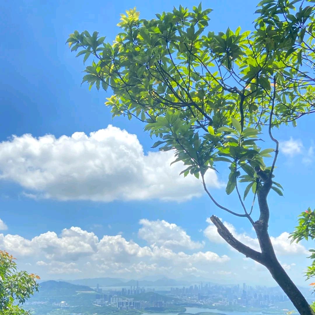阿染