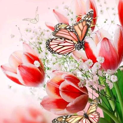 🌴🌴简单人生🌴🌴