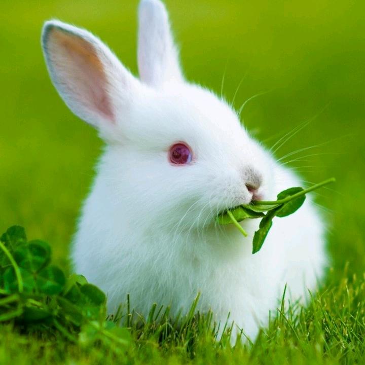 聚氨酯保温喷涂