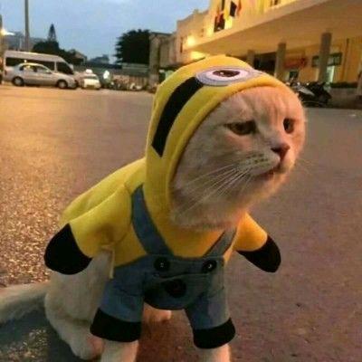 所以我停靠海北.