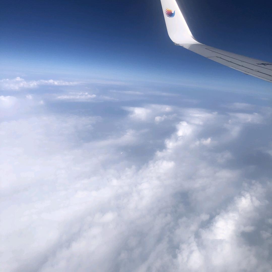 锦鲤