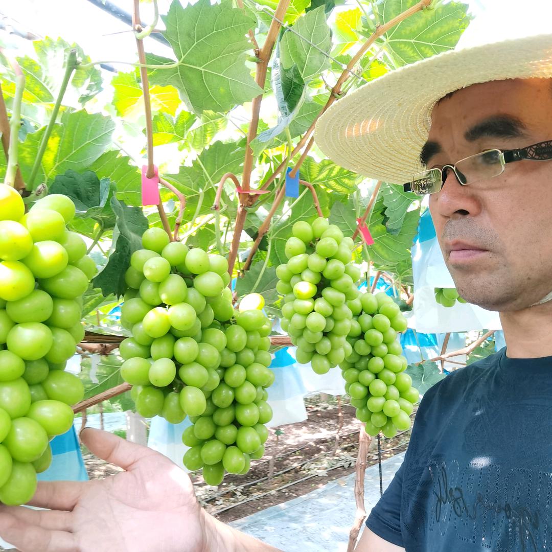 吴银增（葡提人生）