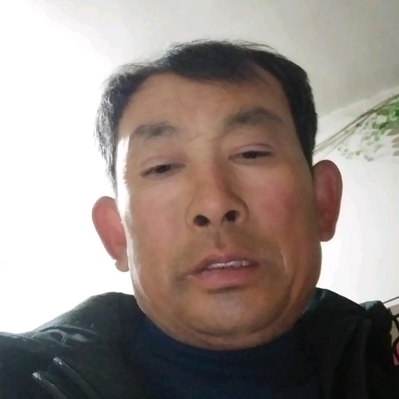 下一站到哪