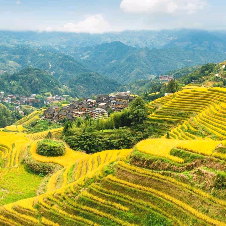 徐子岚封商贸店