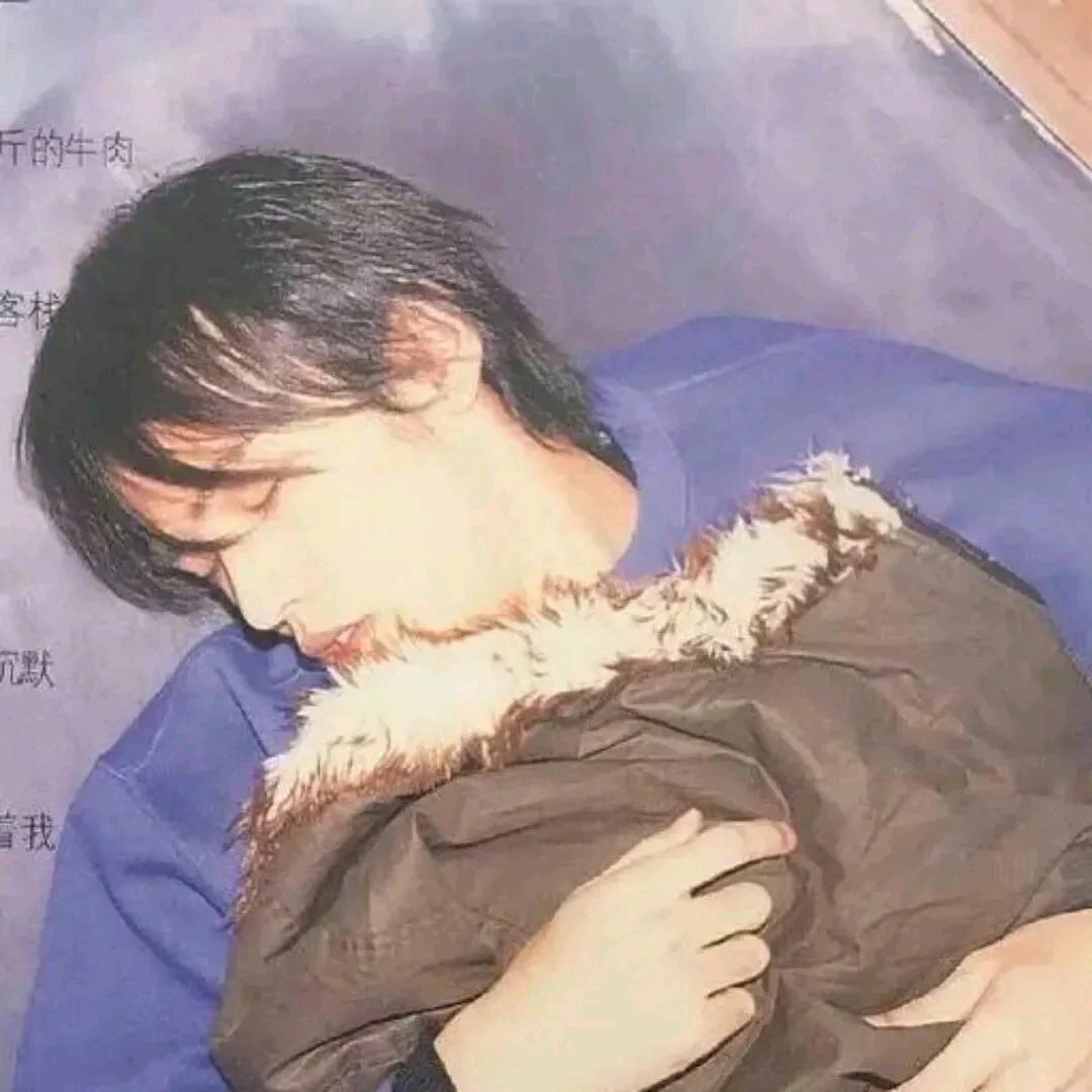 搁浅在半岛铁盒上