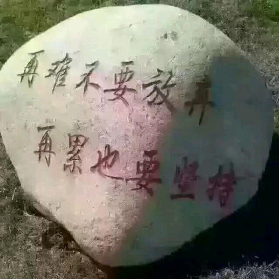 百事可乐   田姐