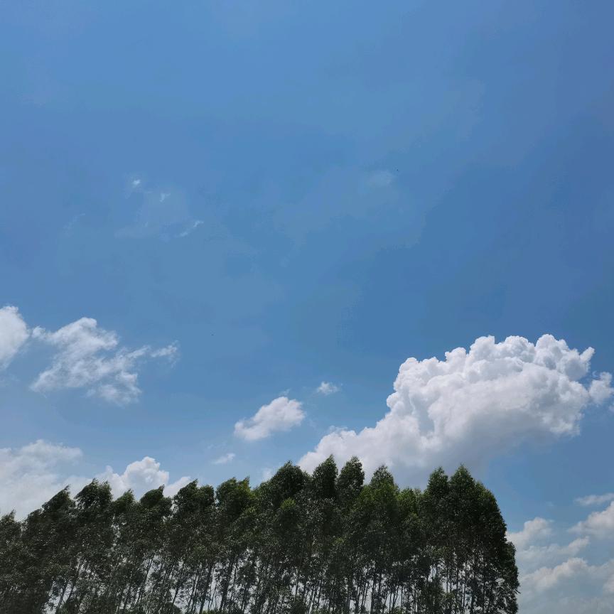 卓悦