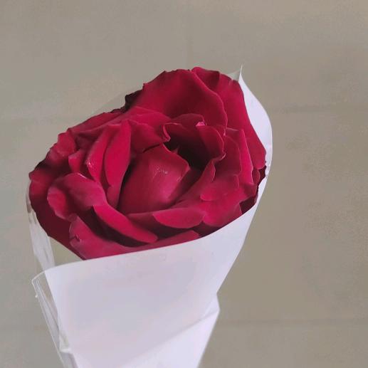 💕᭄星奇ꦻ⁵₂⁰妈妈ꦿ࿐ᩚ