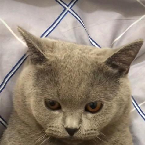 冬天中一把火