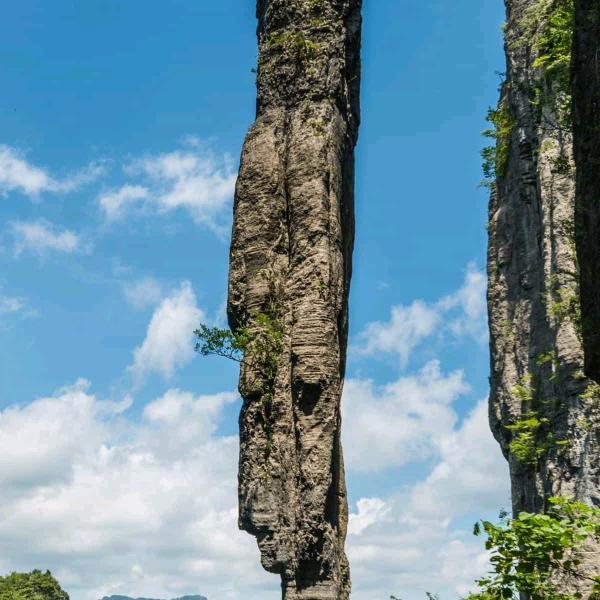 冷酷